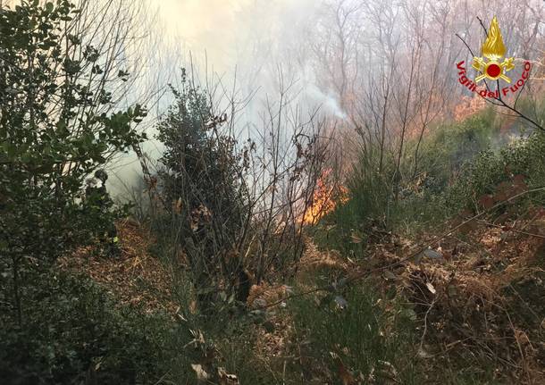 Incendio boschivo tra Montegrino e Fabiasco