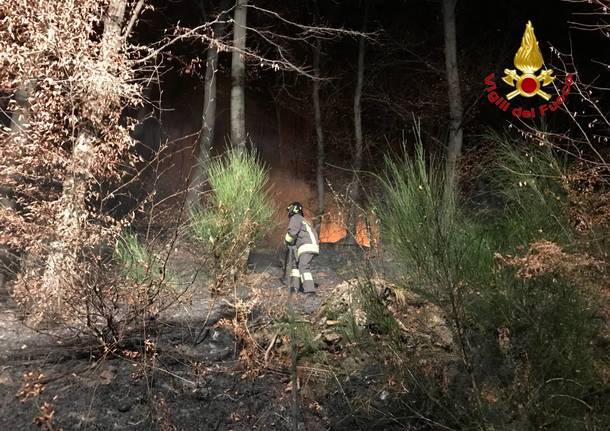 incendio Montegrino Valtravaglia