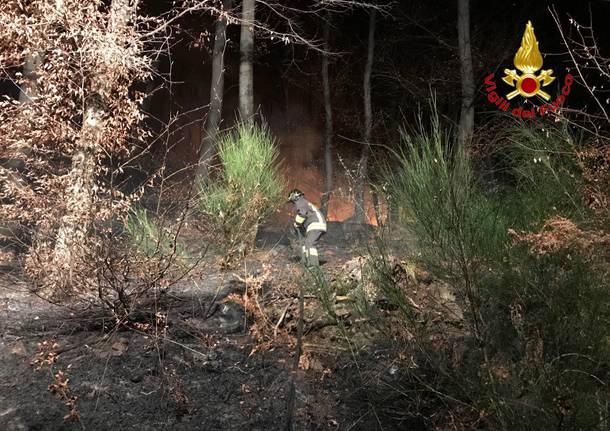 Incendio a Montegrino Valtravaglia