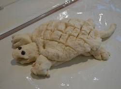 Laboratorio di pane in pediatria al Del Ponte