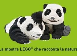 mostra lego nature