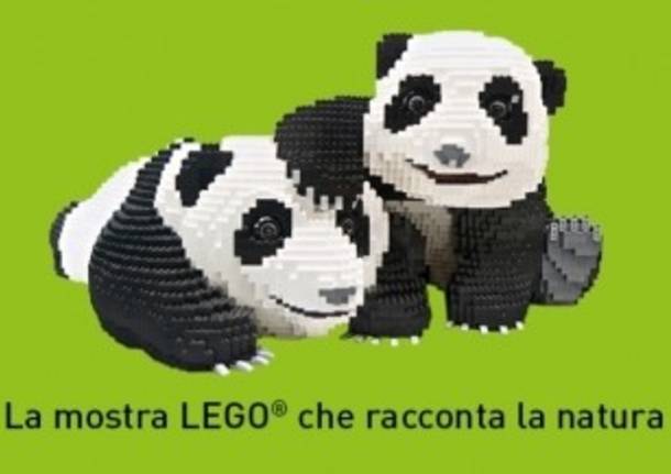 mostra lego nature