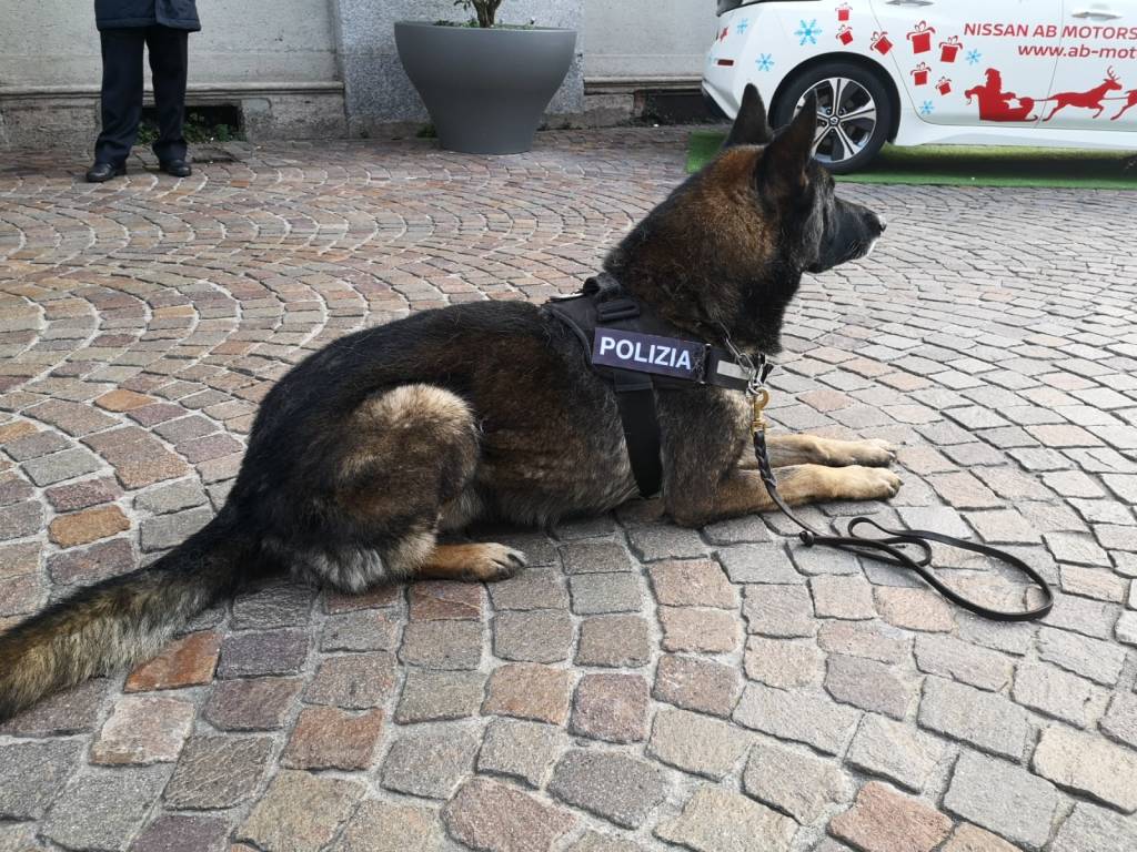 Squadra cinofila Polizia Locale Gallarate 