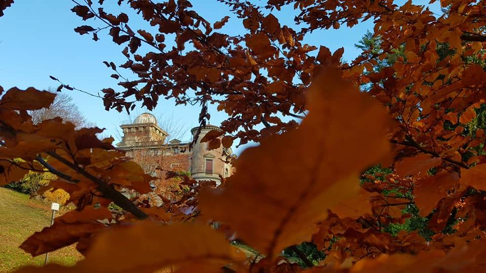 Villa Toeplitz