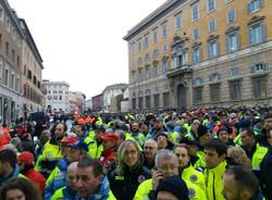 Volontari dal Papa
