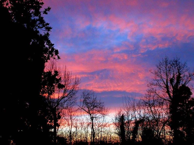 Alba 12 gennaio 2019