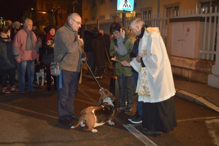 Benedizione animali Sant Antonio Cerro Maggiore Giseu  15 