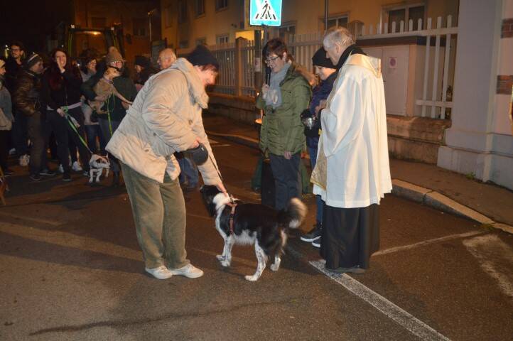 Benedizione animali Sant Antonio Cerro Maggiore Giseu  21 