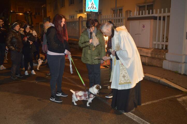 Benedizione animali Sant Antonio Cerro Maggiore Giseu  23 