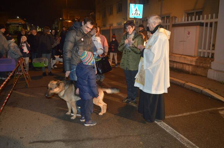 Benedizione animali Sant Antonio Cerro Maggiore Giseu  29 