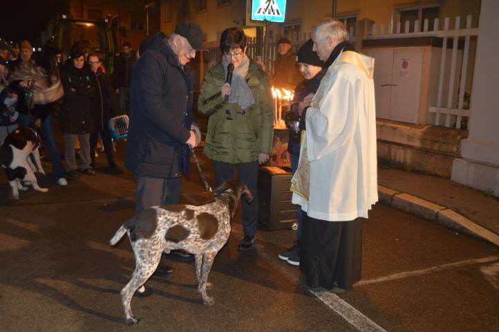Benedizione animali Sant Antonio Cerro Maggiore Giseu  30 