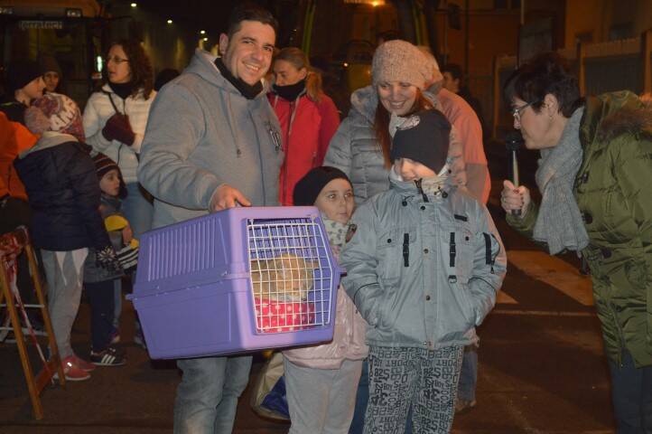 Benedizione animali Sant Antonio Cerro Maggiore Giseu  33 
