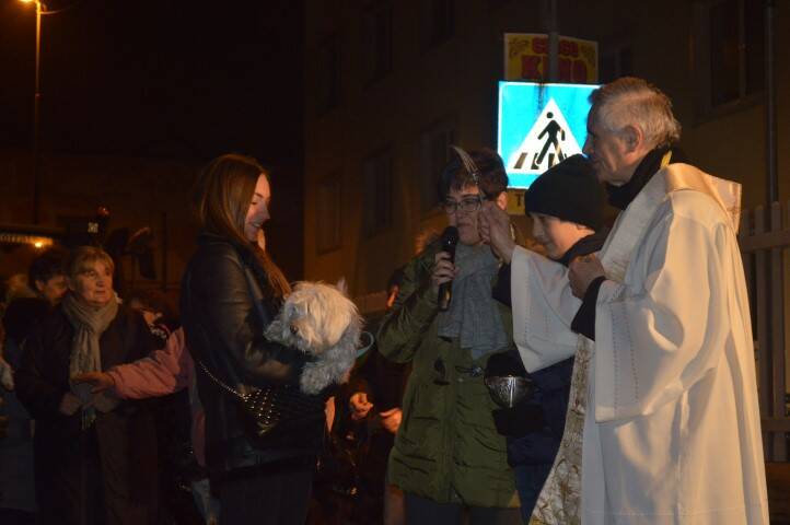 Benedizione animali Sant Antonio Cerro Maggiore Giseu  8 