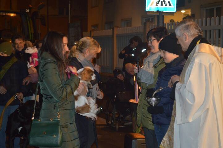 Benedizione animali Sant Antonio Cerro Maggiore Giseu  9 