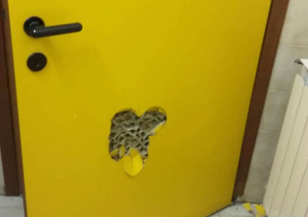 Besano - Vandali nella palestra comunale
