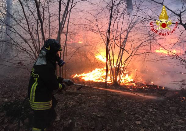 I vigili del fuoco sul fronte delle fiamme di fianco alla statale