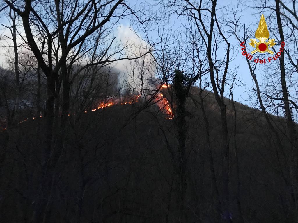 I vigili del fuoco sul fronte delle fiamme di fianco alla statale