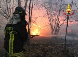 I vigili del fuoco sul fronte delle fiamme di fianco alla statale