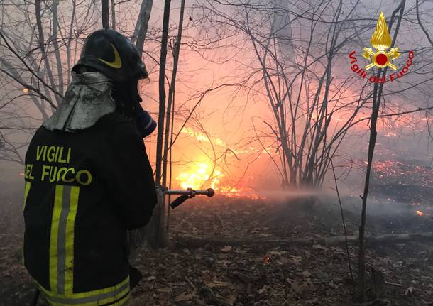 I vigili del fuoco sul fronte delle fiamme di fianco alla statale