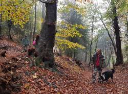TREKKING DOG TRAINING - Escursione con Istruttore cinofilo il 10 febbraio 2019!
