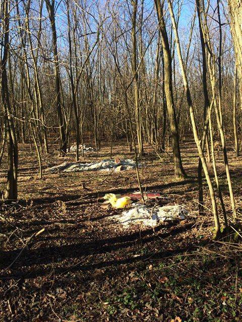 Rifiuti abbandonati a Lonate Ceppino