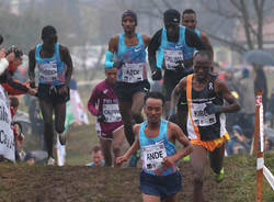 cross country campaccio san giorgio su legnano