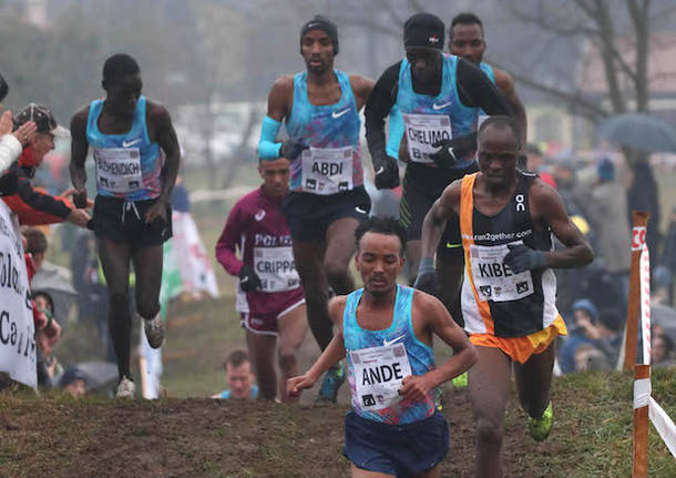 cross country campaccio san giorgio su legnano