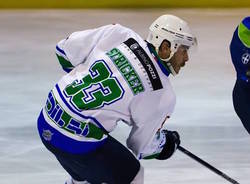 david stricker hockey su ghiaccio