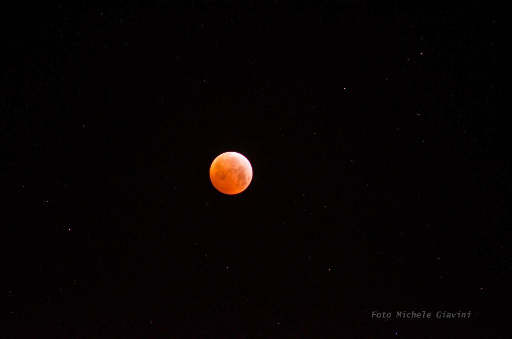Eclisse dalla Torbiera di Ganna