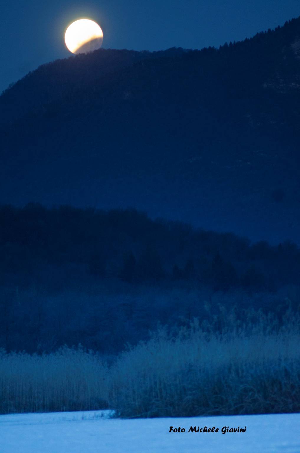 Eclisse dalla Torbiera di Ganna