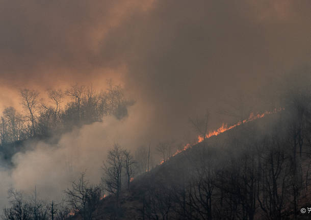 Incendio Monte Martica - foto Aresi