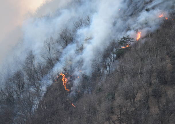 L'incendio sulla Martica lunedì mattina