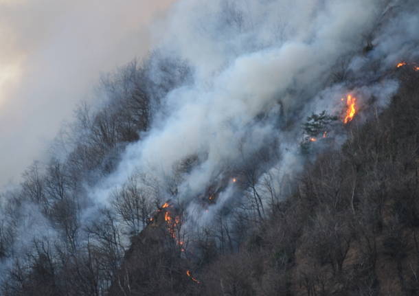 L'incendio sulla Martica lunedì mattina