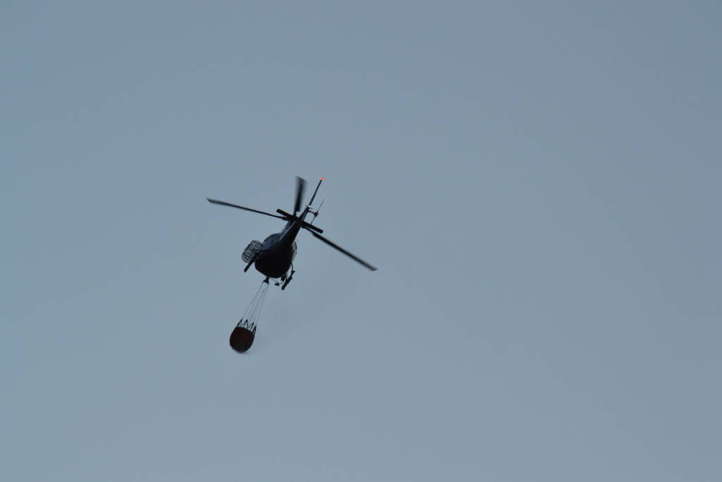 L'incendio sulla Martica lunedì mattina