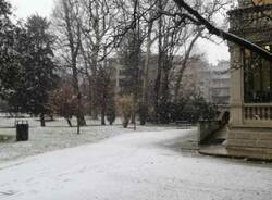 La neve in citt  a Legnano 30 gennaio