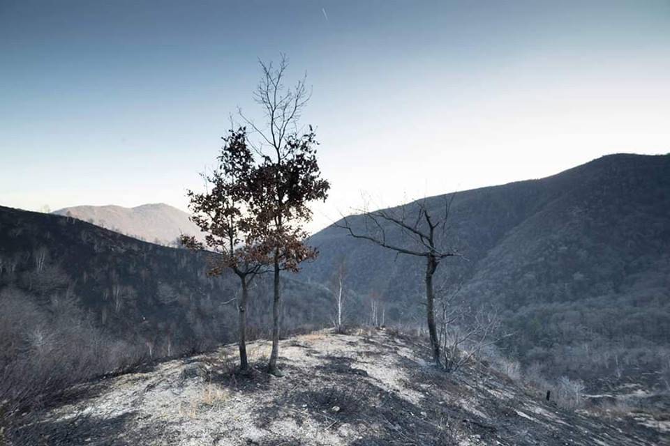 Martica, dopo l'incendio - foto di Luca Zulianello