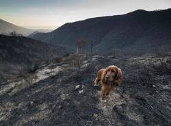 Martica, dopo l'incendio - foto di Luca Zulianello