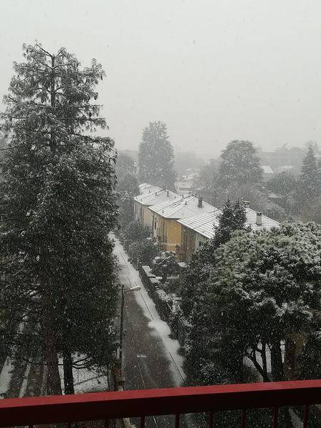 neve lettori