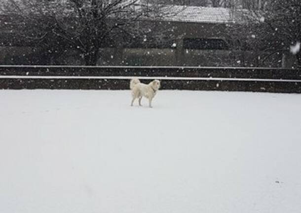 E’ tornata la neve, le foto dei  lettori