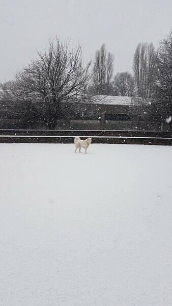 neve lettori 4