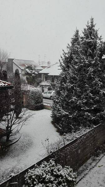 neve lettori2