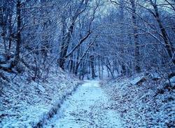 neve nevicata cuasso andrea betti