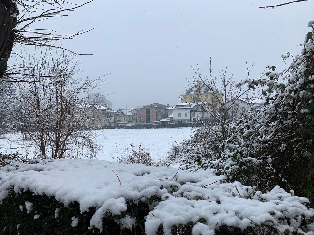 neve varese 30 gennaio 2019