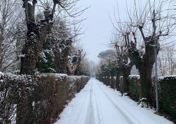 La neve di mercoledì 30 gennaio