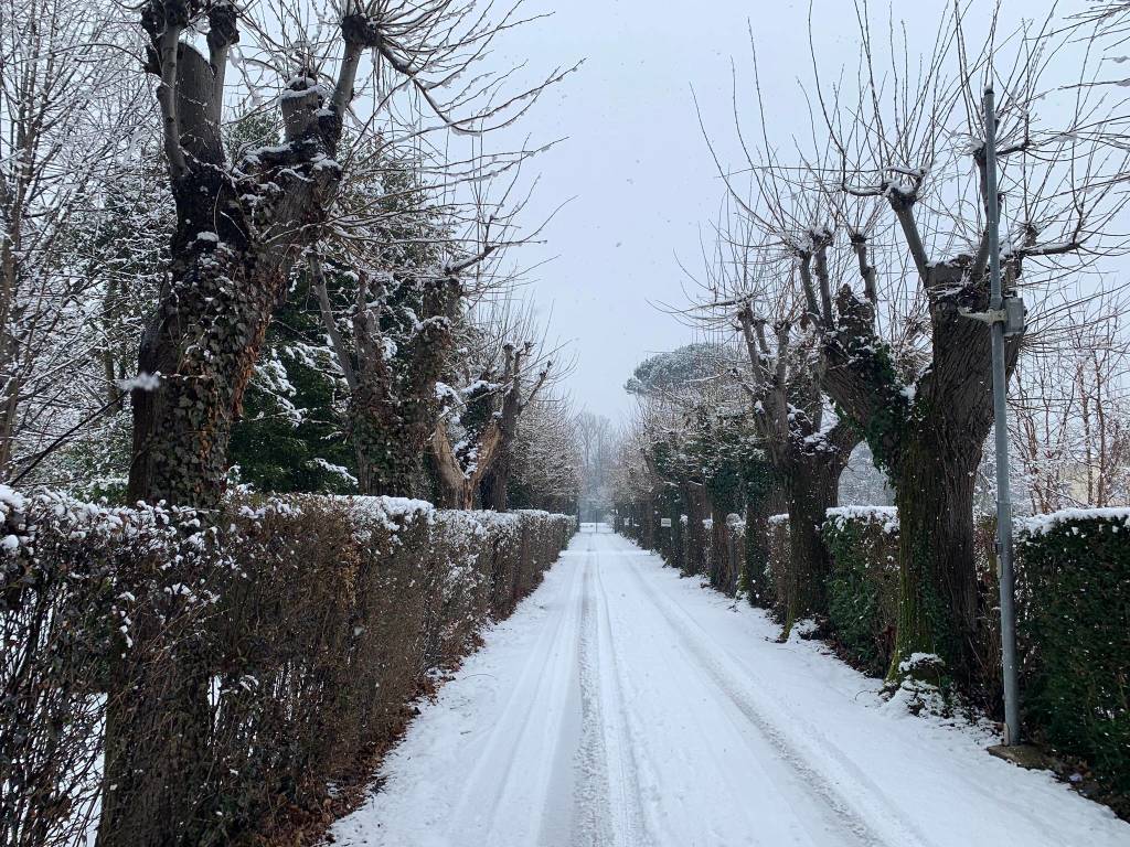 neve varese 30 gennaio 2019