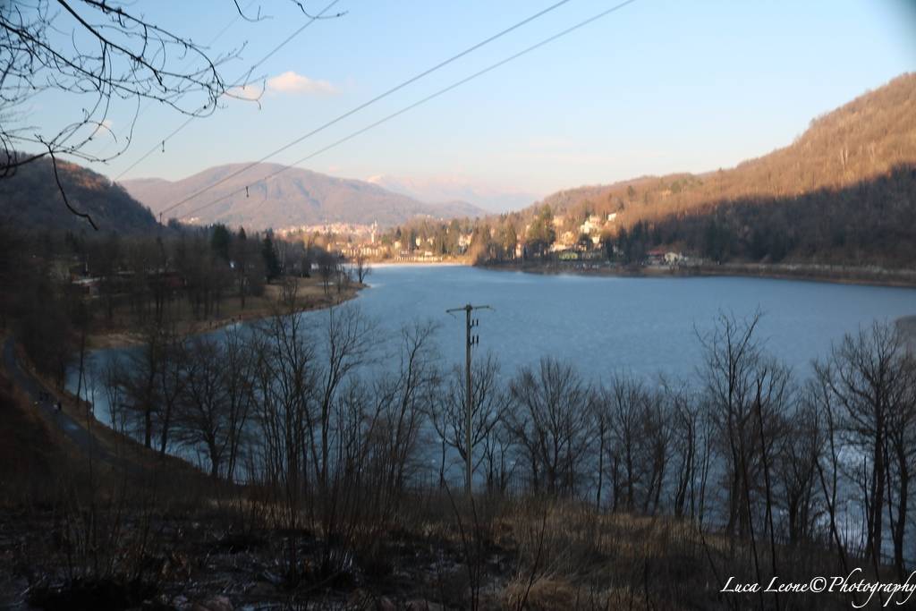 Reportage in Valganna nel bosco ferito dall'incendio (foto di Luca Leone)