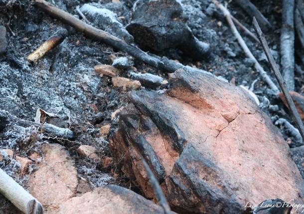 Reportage in Valganna nei boschi feriti dall’incendio