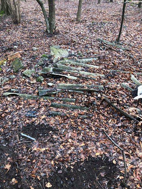 Rifiuti nel bosco di Cascina Tangitt