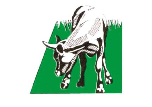 vario