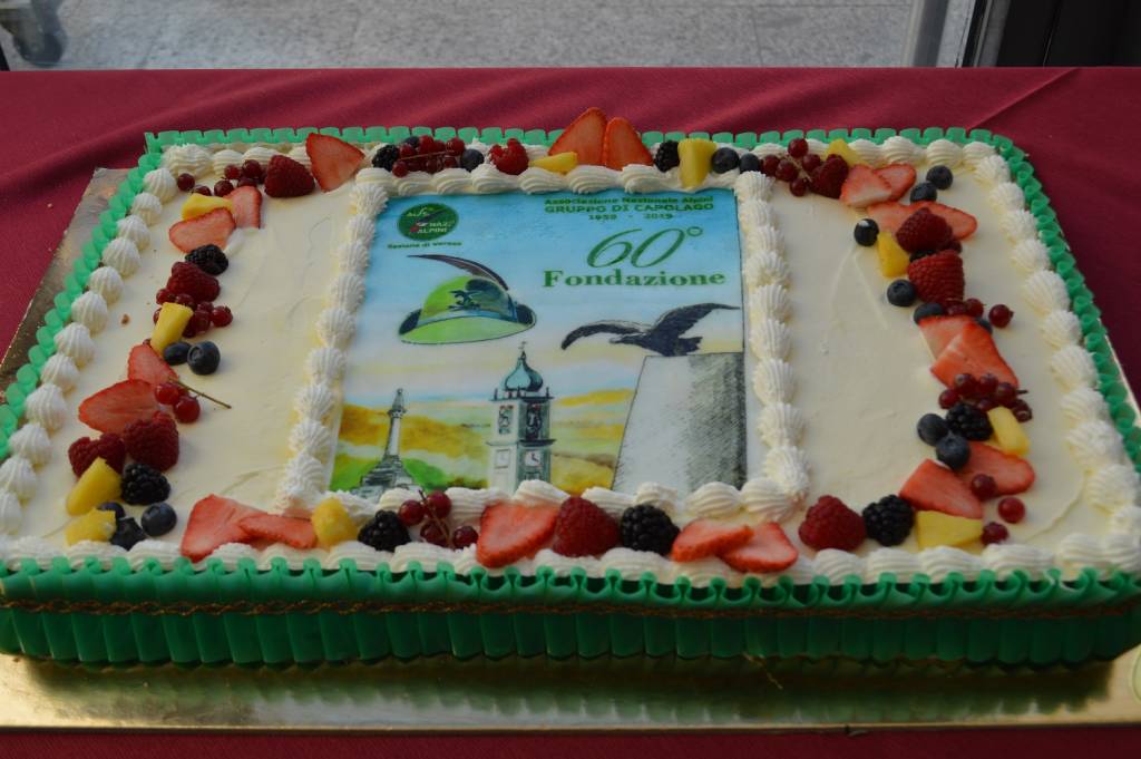 alpini ospedale del ponte febbraio 2019